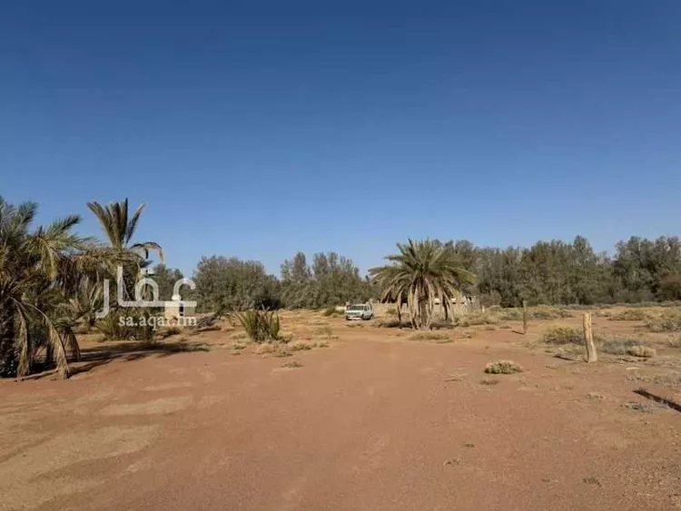 Farm for Sale in Hail Al Suwaflah صورة 5