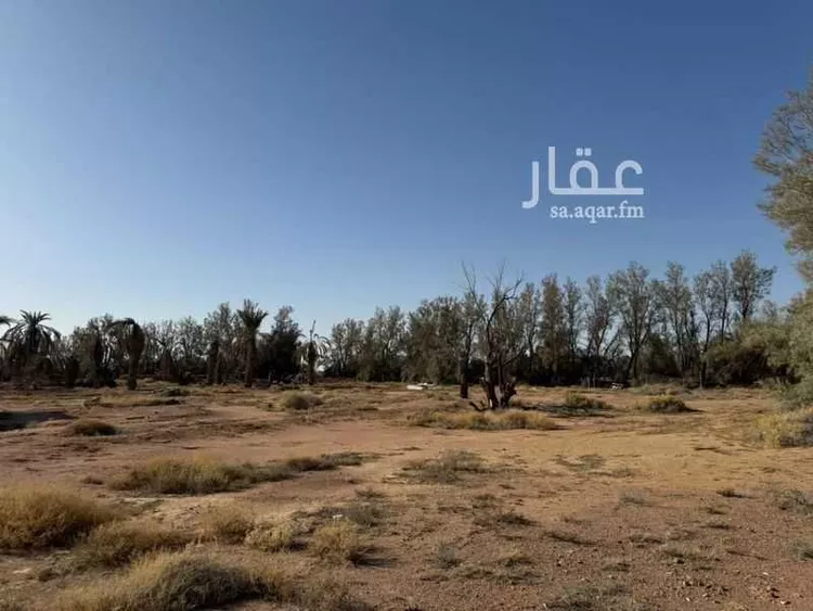 Farm for Sale in Hail Al Suwaflah صورة 4