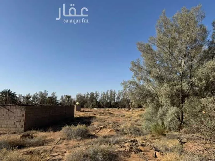 Farm for Sale in Hail Al Suwaflah صورة 2
