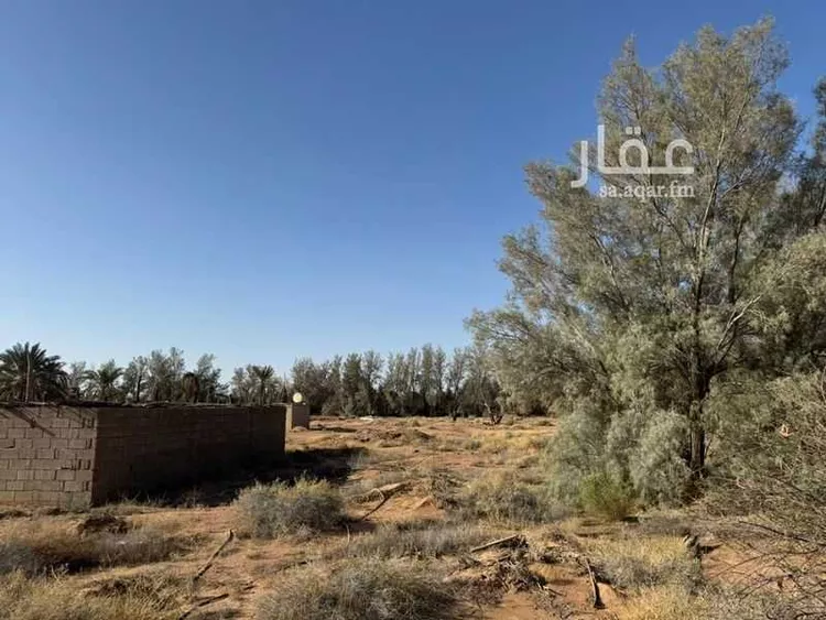 Farm for Sale in Hail Al Suwaflah صورة 3