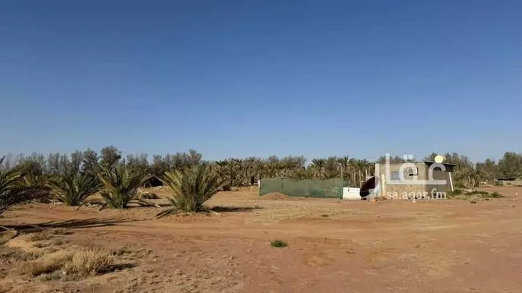 Farm for Sale in Hail Al Suwaflah صورة 4