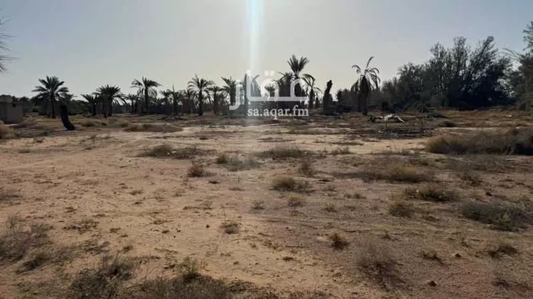 مزرعة للبيع في حي السويفلة الجديد, مدينة حائل, منطقة حائل 8