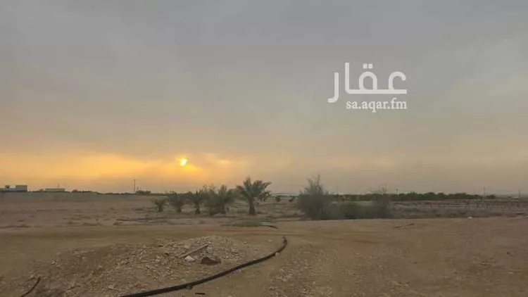 مزرعة للبيع في سدوس ، الدرعية صورة 4