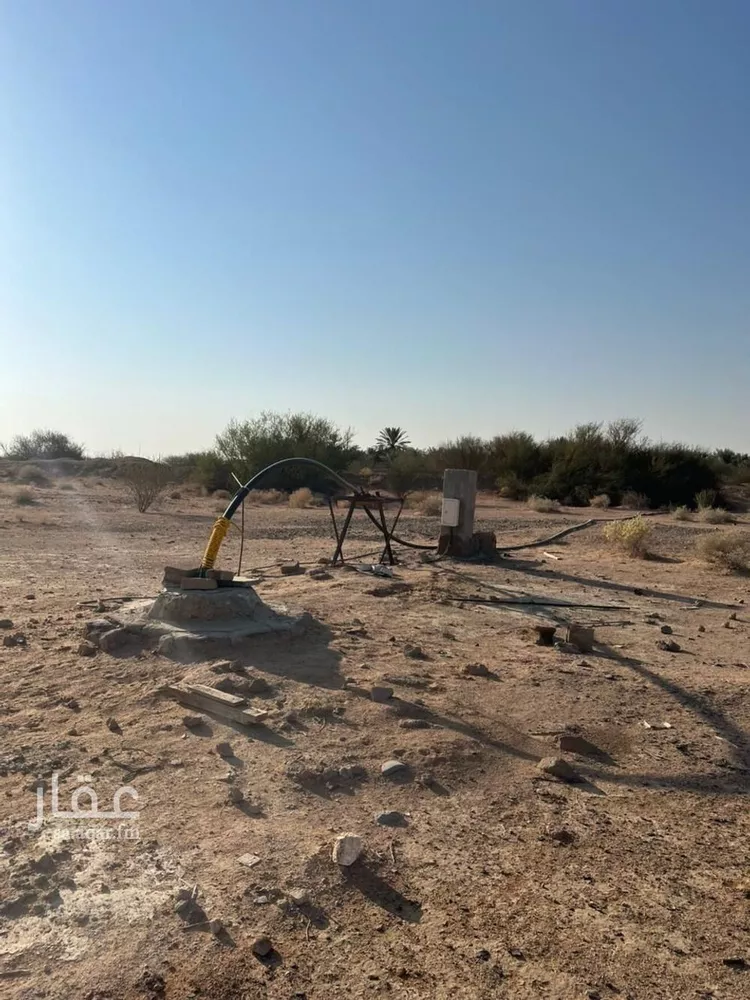 مزرعة للبيع في شارع 000, حي بدائع ريمان الشمالي, مدينة بدائع ريمان الشمالي, منطقة القصيم صورة 4