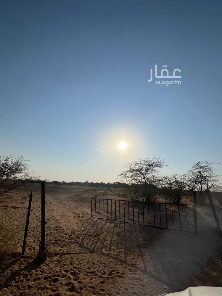 مزرعة للبيع في شارع 000, حي بدائع ريمان الشمالي, مدينة بدائع ريمان الشمالي, منطقة القصيم صورة 5