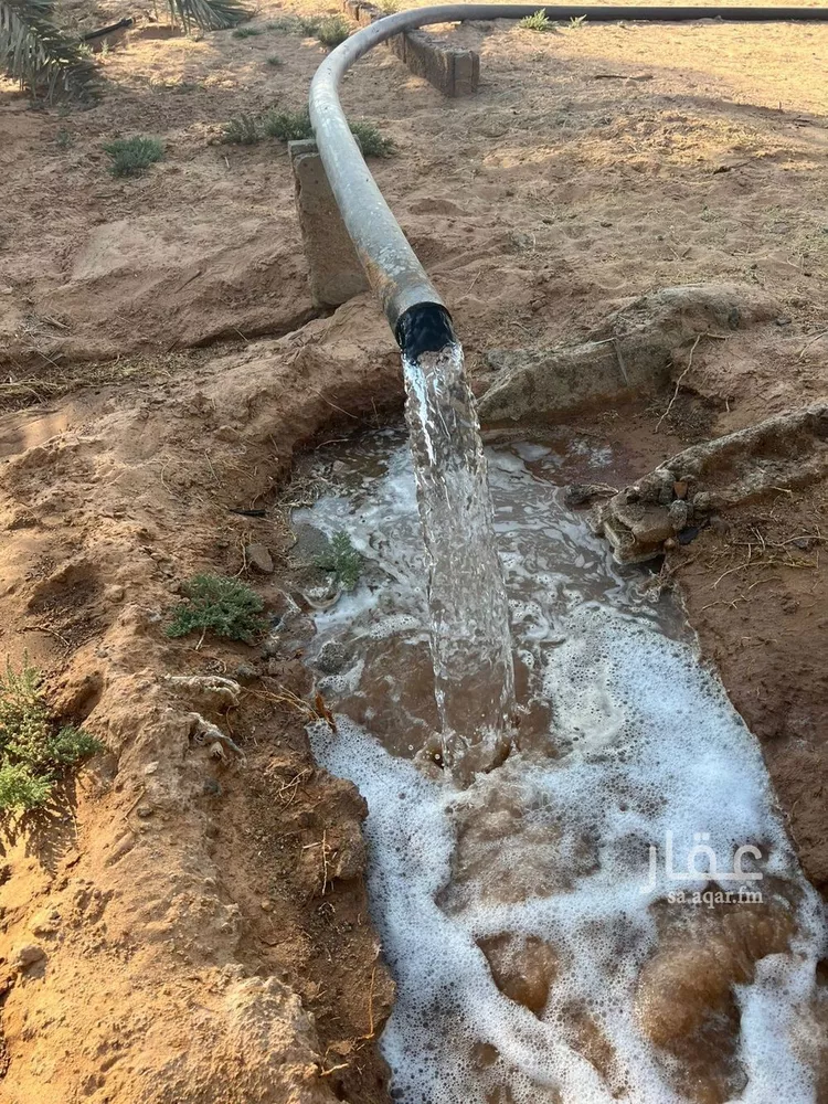 مزرعة للبيع في شارع 000, حي بدائع ريمان الشمالي, مدينة بدائع ريمان الشمالي, منطقة القصيم 8
