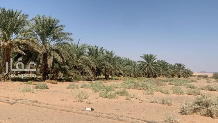 مزرعة للبيع في شارع 000, حي بدائع ريمان الشمالي, مدينة بدائع ريمان الشمالي, منطقة القصيم