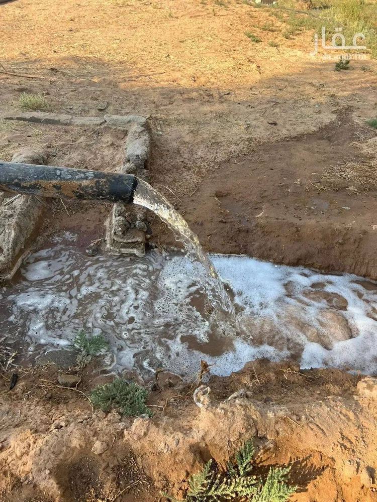 مزرعة للبيع في شارع 000, حي بدائع ريمان الشمالي, مدينة بدائع ريمان الشمالي, منطقة القصيم 9