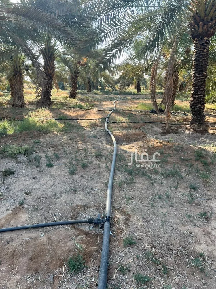 Farm for Sale in An Nabhaniyah An Nabhaniyah