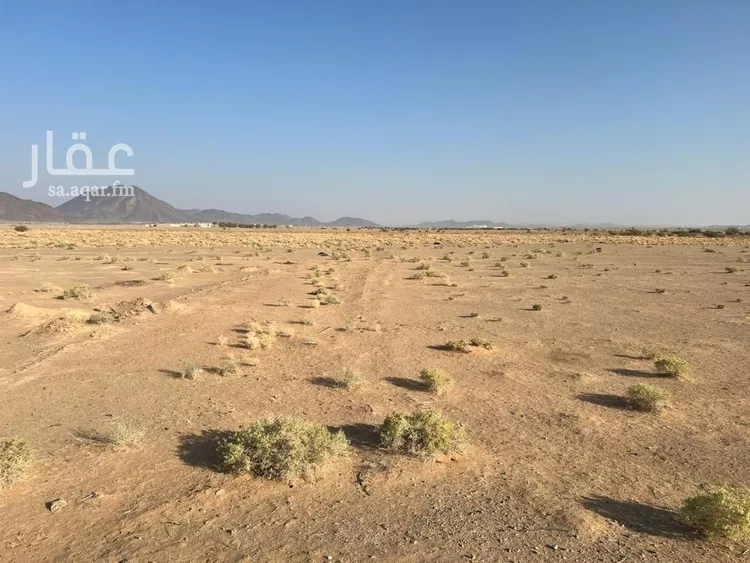 مزرعة للبيع في شارع 000, حي بدائع ريمان الشمالي, مدينة بدائع ريمان الشمالي, منطقة القصيم صورة 3