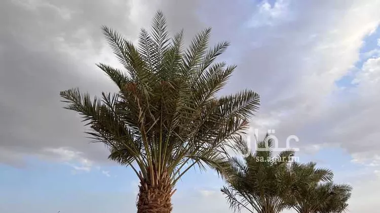 شاليه واستراحة للحجز في شارع الغطغط 28 ، محافظة المزاحمية ، المزاحمية 10
