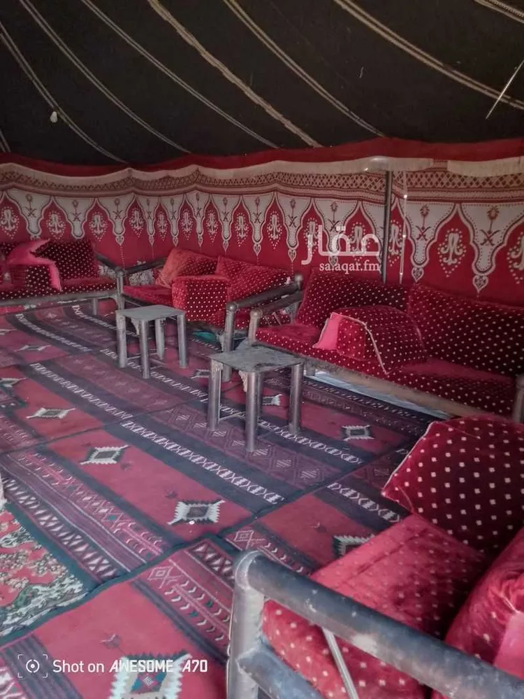 مخيم للحجز في مخيم الأميرة الدمام ، الدمام ، الدمام صورة 5