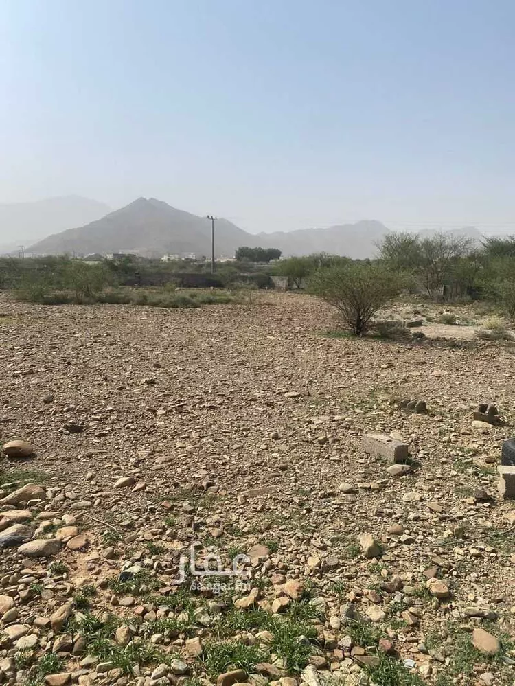Land for Sale in Muhayil Al Huliah East