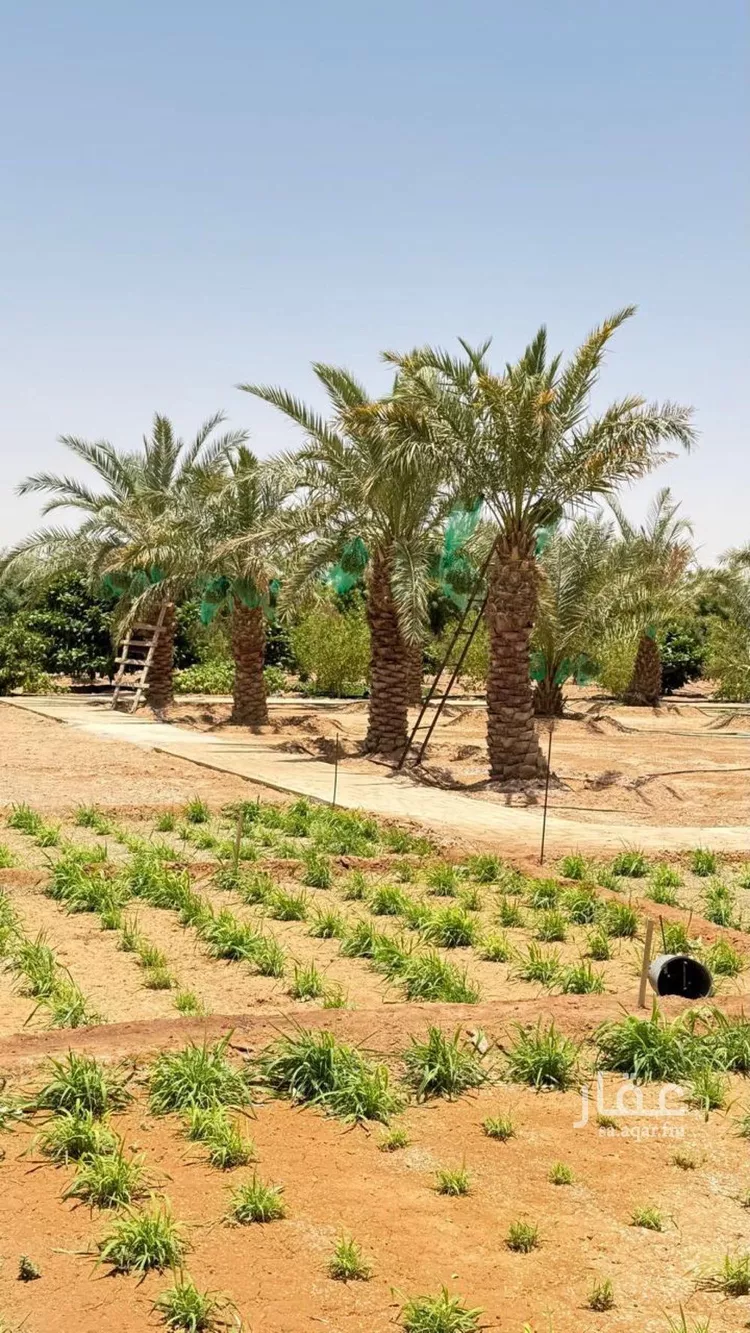 أرض للبيع في شارع هند بن حارثه, حي العليا, مدينة الجلة, منطقة الرياض 30