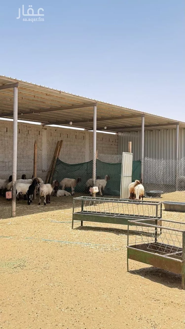 أرض للبيع في شارع هند بن حارثه, حي العليا, مدينة الجلة, منطقة الرياض 23