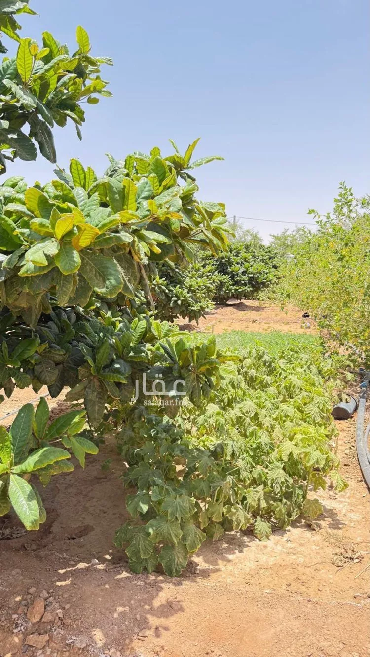 أرض للبيع في شارع هند بن حارثه, حي العليا, مدينة الجلة, منطقة الرياض 21