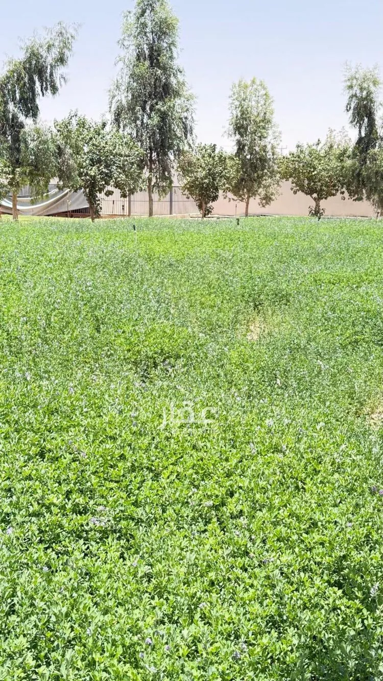 أرض للبيع في شارع هند بن حارثه, حي العليا, مدينة الجلة, منطقة الرياض 29