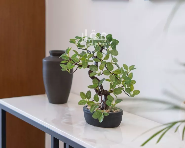 فيلا للبيع في شارع الامير متعب بن عبدالعزيز, حي الصفاء, مدينة الرياض, منطقة الرياض صورة 2