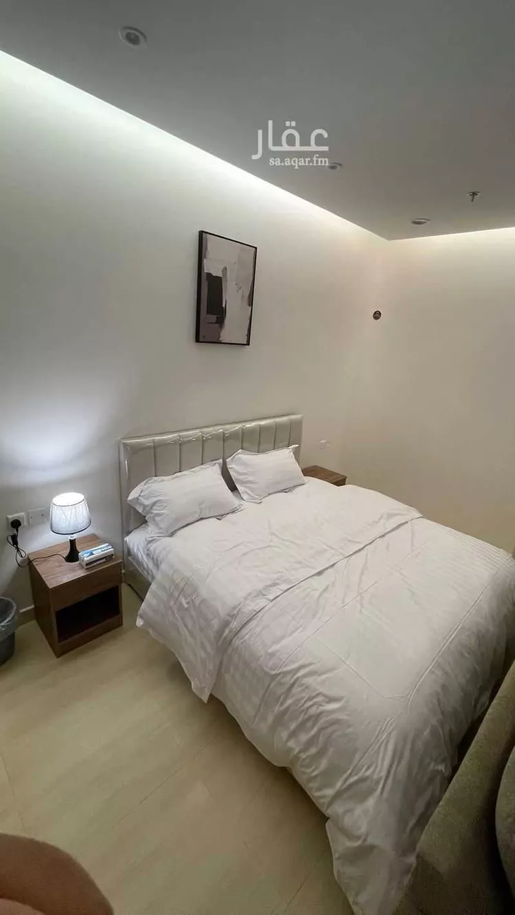 Furnished Studio for Booking in Al Kharj Al Bourj 8