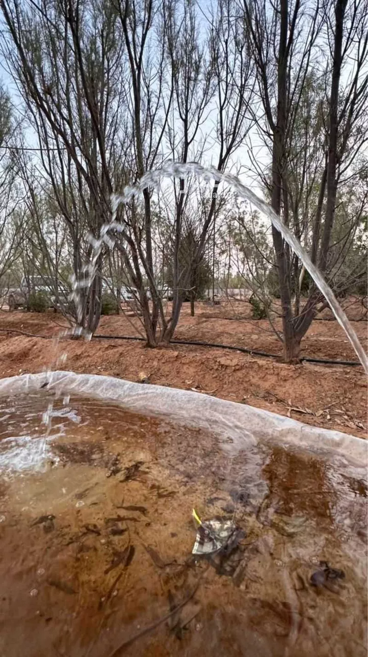 مزرعة للبيع في المهينية ، بقعاء صورة 2