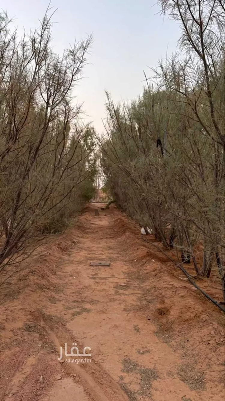 مزرعة للبيع في المهينية ، بقعاء صورة 4