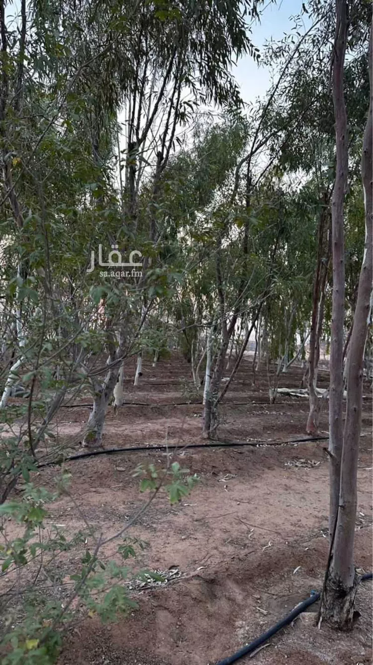 مزرعة للبيع في المهينية ، بقعاء صورة 5