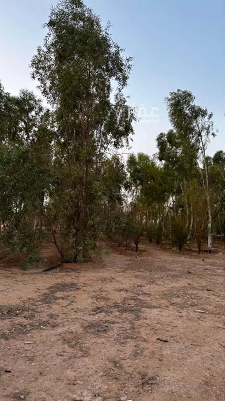 مزرعة للبيع في المهينية ، بقعاء