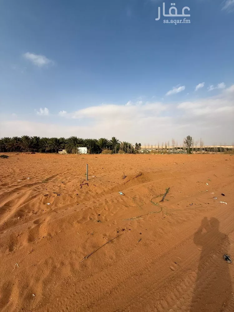 أرض للبيع في شارع شارع المشاعلة, حي هجره الذيبيه وخضراء, مدينة هجره الذيبيه وخضراء, منطقة الرياض صورة 3