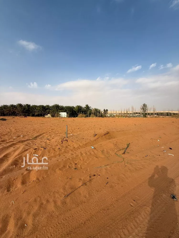 أرض للبيع في شارع شارع المشاعلة, حي هجره الذيبيه وخضراء, مدينة هجره الذيبيه وخضراء, منطقة الرياض صورة 3