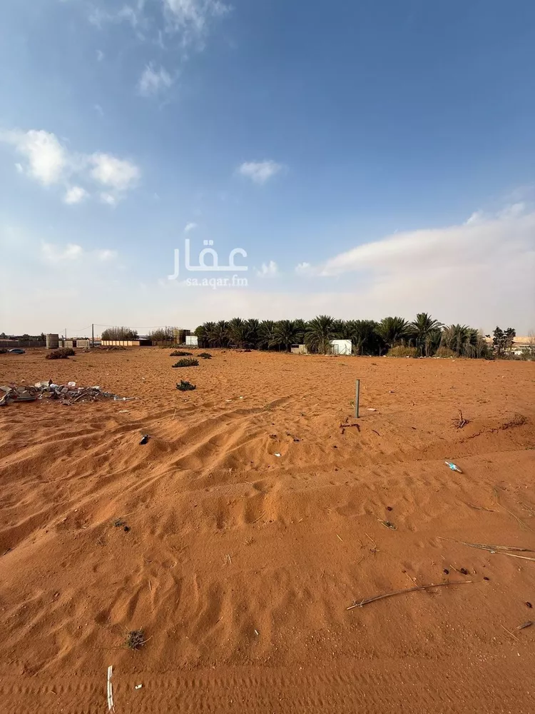 أرض للبيع في شارع شارع المشاعلة, حي هجره الذيبيه وخضراء, مدينة هجره الذيبيه وخضراء, منطقة الرياض