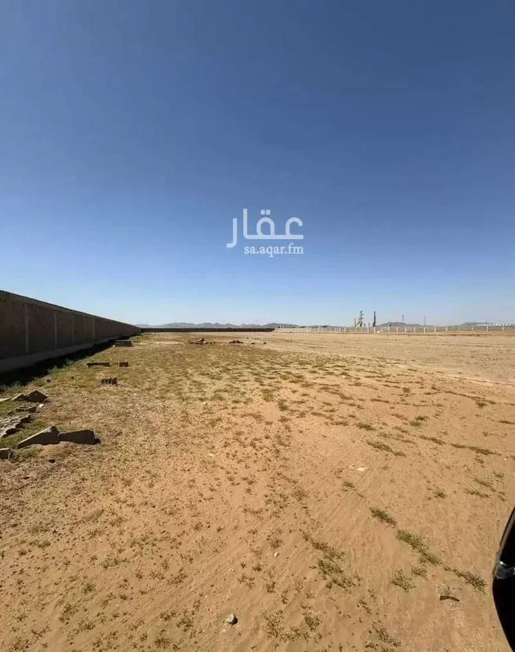 مستودع للإيجار في شارع محمد الغساني, حي النخيل, مدينة جدة, منطقة مكة المكرمة صورة 4