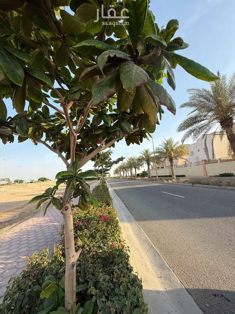 أرض للبيع في null صورة 2