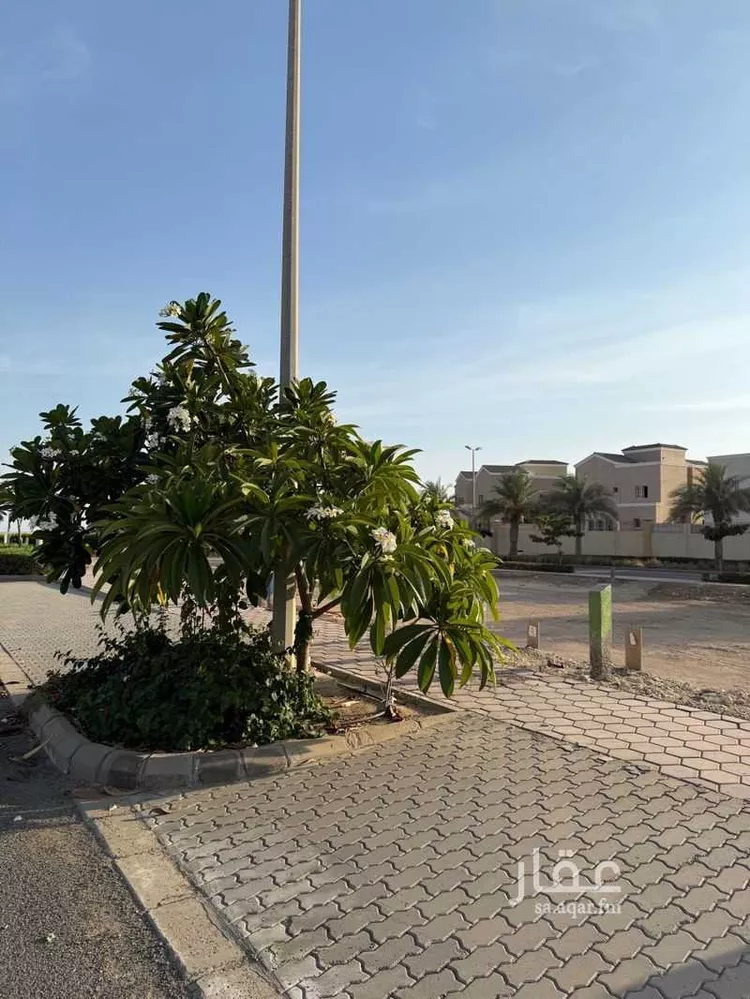 أرض للبيع في null صورة 4