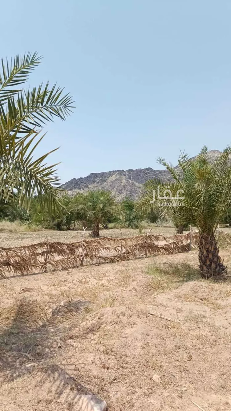 أرض للبيع في شارع الجودرية الجديد , حي الجودرية الجديد, مدينة مكه المكرمه, منطقة مكة المكرمة 9
