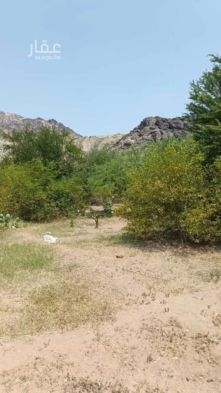 أرض للبيع في شارع الجودرية الجديد , حي الجودرية الجديد, مدينة مكه المكرمه, منطقة مكة المكرمة 7
