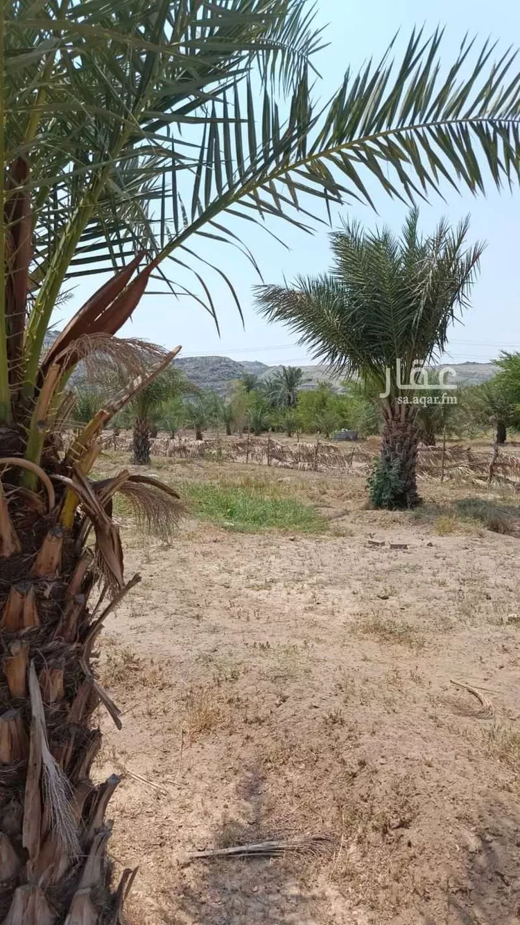 Land for Sale in Mecca Al Ukayshiyyah 11
