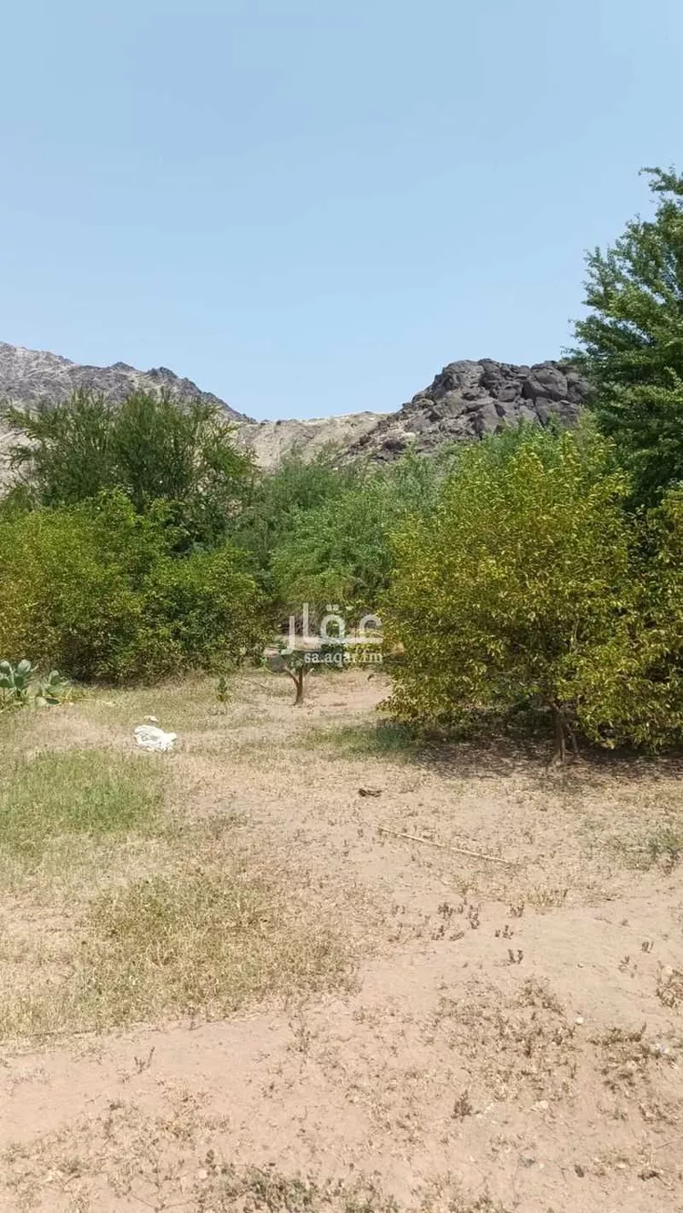 أرض للبيع في شارع الجودرية الجديد , حي الجودرية الجديد, مدينة مكه المكرمه, منطقة مكة المكرمة 10