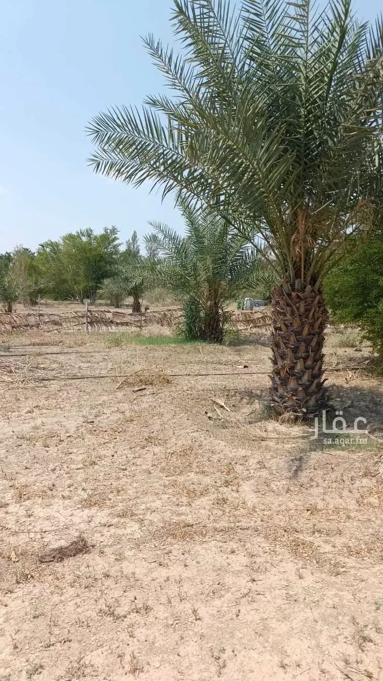 أرض للبيع في شارع الجودرية الجديد , حي الجودرية الجديد, مدينة مكه المكرمه, منطقة مكة المكرمة صورة 5