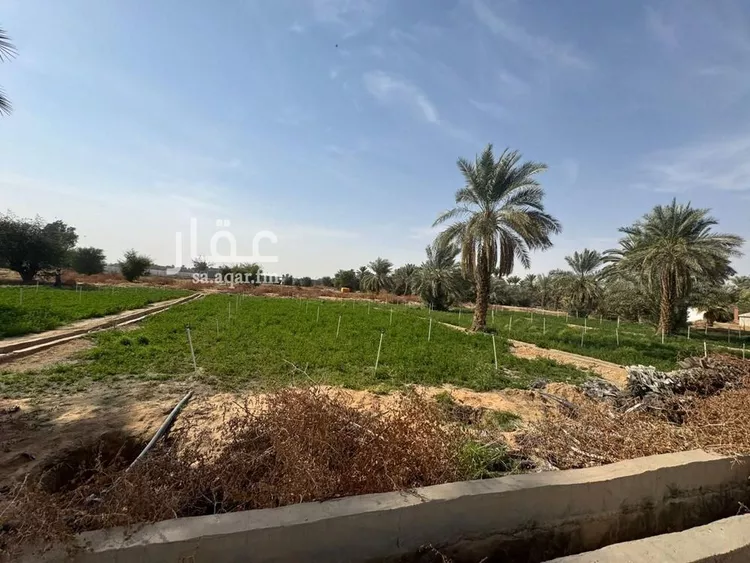 Farm for rent in Al Kharj Al Mansourah صورة 3