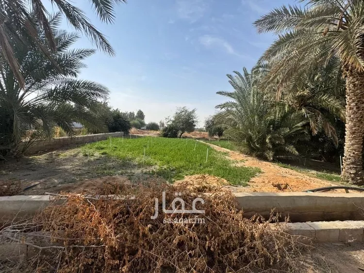 أرض للإيجار في شارع 00000, حي اليمامة, مدينة الخرج, منطقة الرياض صورة 3