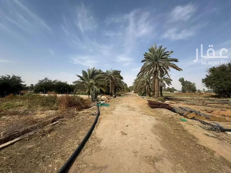 أرض للإيجار في شارع 00000, حي اليمامة, مدينة الخرج, منطقة الرياض صورة 2