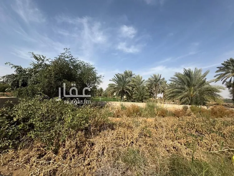 Farm for rent in Al Kharj Al Mansourah صورة 5
