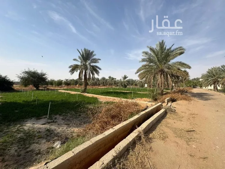 أرض للإيجار في شارع 00000, حي اليمامة, مدينة الخرج, منطقة الرياض صورة 4