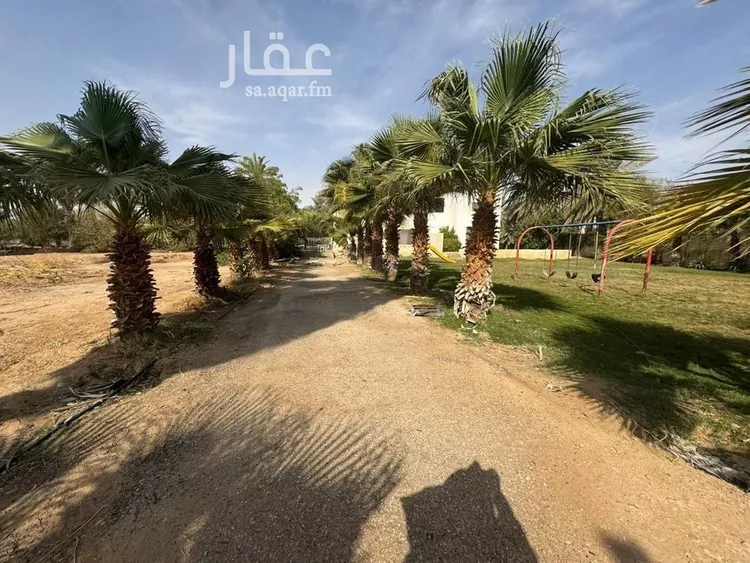 أرض للإيجار في شارع 00000, حي اليمامة, مدينة الخرج, منطقة الرياض صورة 5