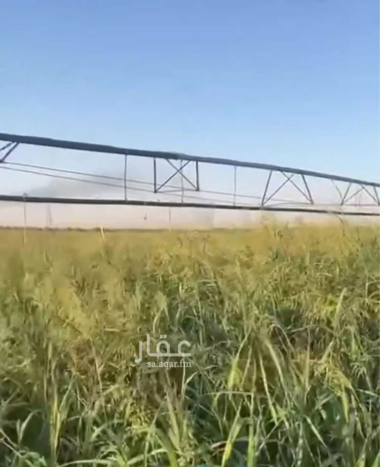 مزرعة للبيع في شارع M3P8+269 الفروثي, حي حماده الفروثى, مدينة حماده الفروثى, منطقة الرياض