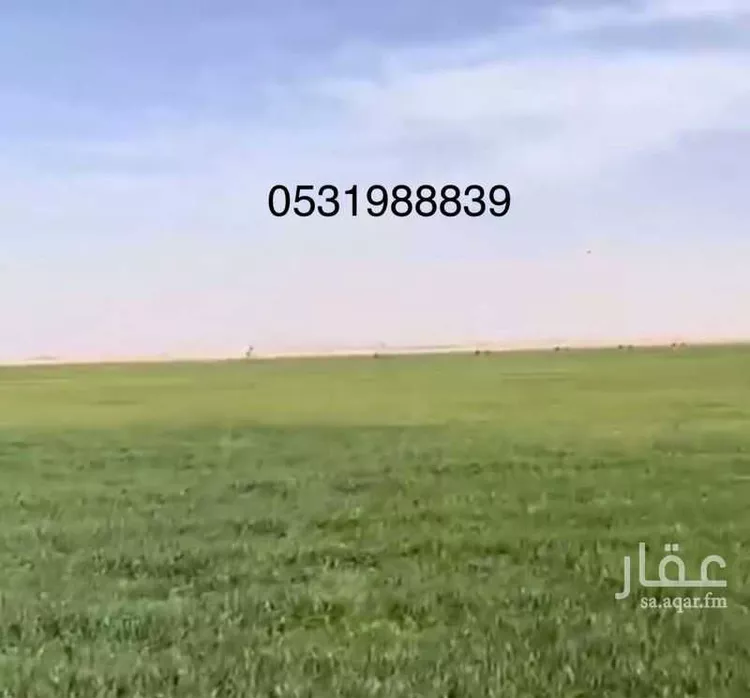 مزرعة للبيع في شارع M3P8+269 الفروثي, حي حماده الفروثى, مدينة حماده الفروثى, منطقة الرياض صورة 3