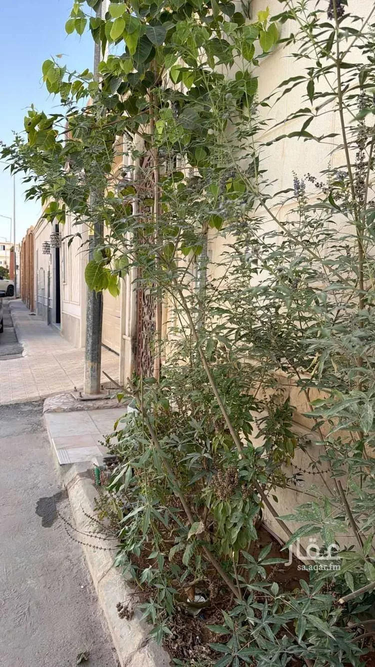 استوديو للإيجار في شارع الشماسية, حي الربيع, مدينة الرياض, منطقة الرياض 7