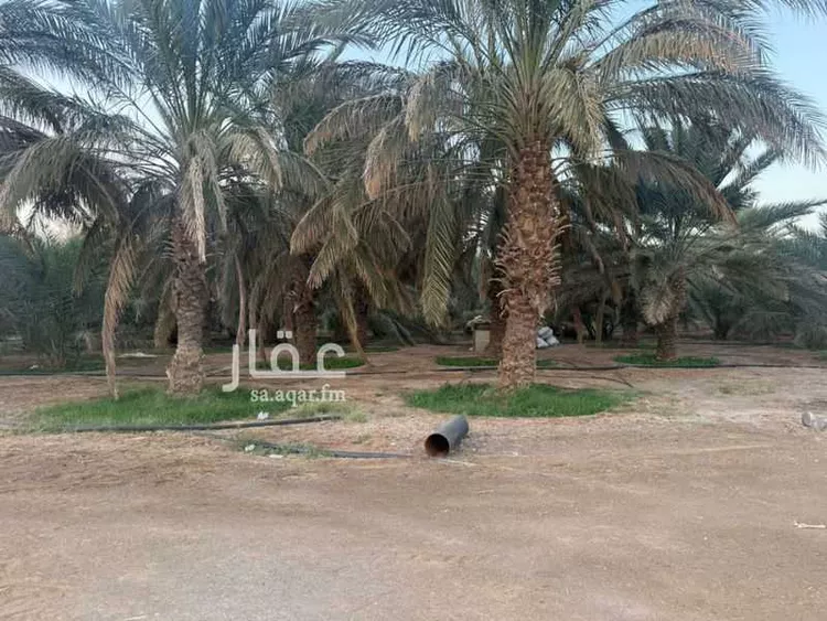 مزرعة للبيع في شارع غير مسمى, مدينة الضميريه, منطقة المدينة المنورة