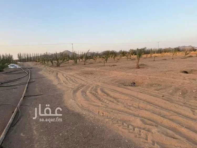 مزرعة للبيع في شارع غير مسمى, مدينة الضميريه, منطقة المدينة المنورة صورة 2