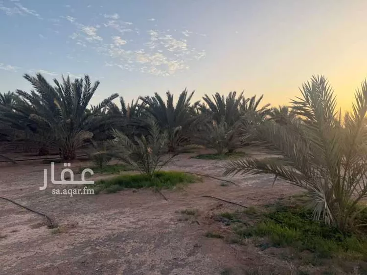 مزرعة للبيع في شارع غير مسمى, مدينة الضميريه, منطقة المدينة المنورة صورة 4